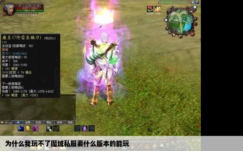 为什么我玩不了魔域私服要什么版本的能玩